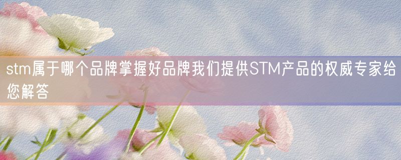 stm属于哪个品牌掌握好品牌我们提供STM产品的权威专家给您解答