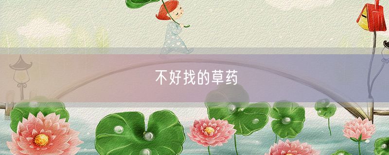 <strong>不好找的草药</strong>