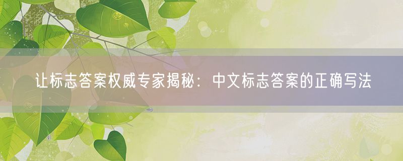 让标志答案权威专家揭秘：中文标志答案的正确写法