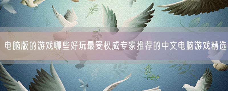 电脑版的游戏哪些好玩最受权威专家推荐的中文电脑游戏精选