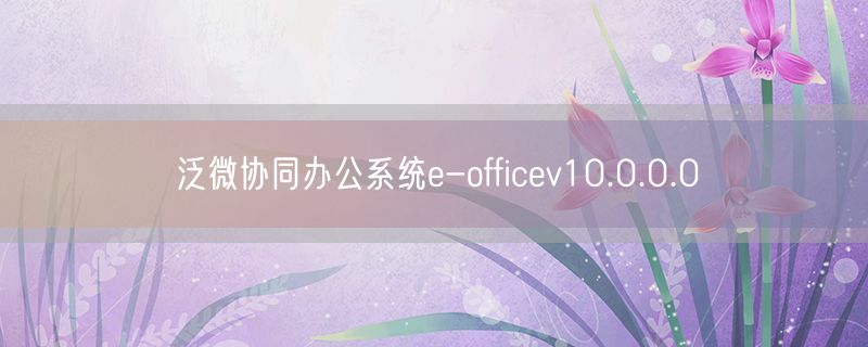 泛微协同办公系统e-officev10.0.0.0